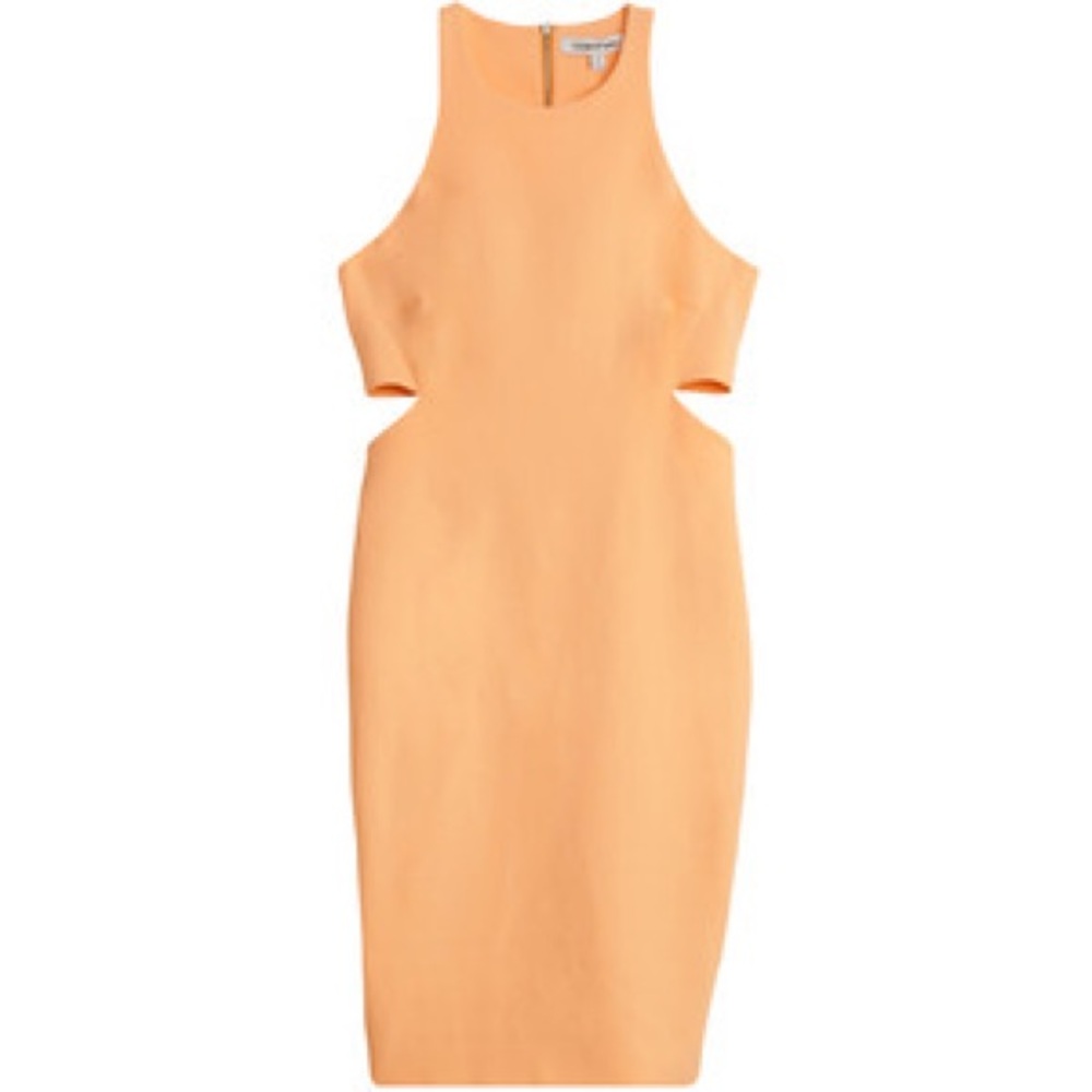 NWT Elizabeth and James Lela Cutout Dress Size 6